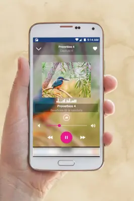 Salmos y Proverbios android App screenshot 1